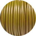 Lacet de cuir rond vert pistache de 4mm-Espagne-Premium