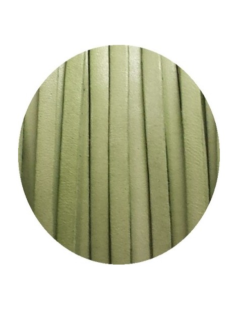 Cordon de cuir plat 5mm vert amande clair vendu au metre