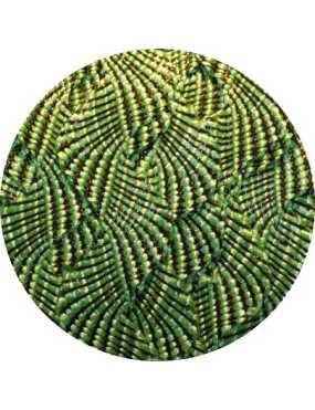Serpentine lurex noir vert-10mm