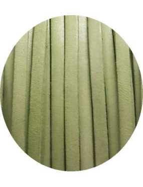 Cordon de cuir plat 5mm vert amande clair-vente au cm